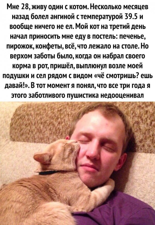 Так себе картинки 13.06.24