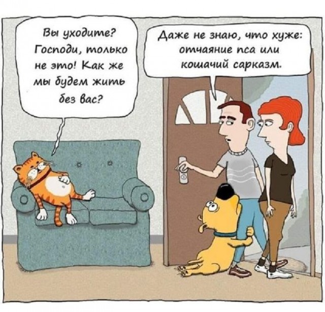 Картинки разные с надписями и без