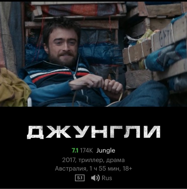 Гаур: Гора сухих мышц. Эти дикие быки мощнее буйвола и носорога. Местные их не трогают - себе дороже