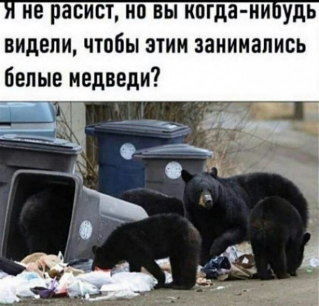 Так себе картинки 01.09.24