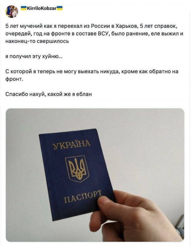 Чёрным по белому (Бояны)