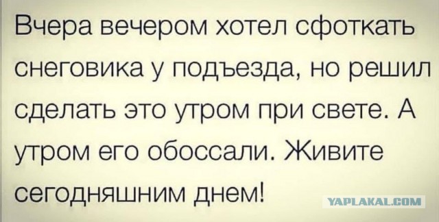 Так себе картинки 22.12.24