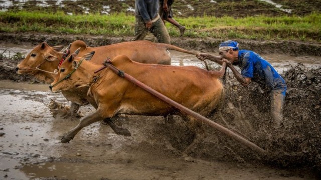 В Таиланде чуть-чуть не запустили неизвестное г@вно в космос