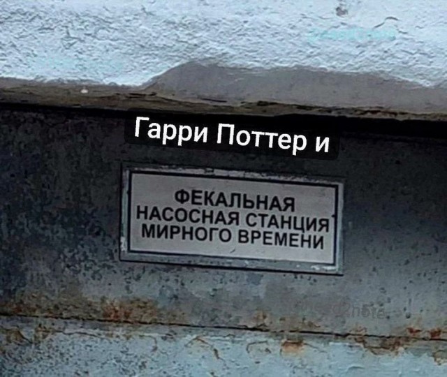 Синий Винстон