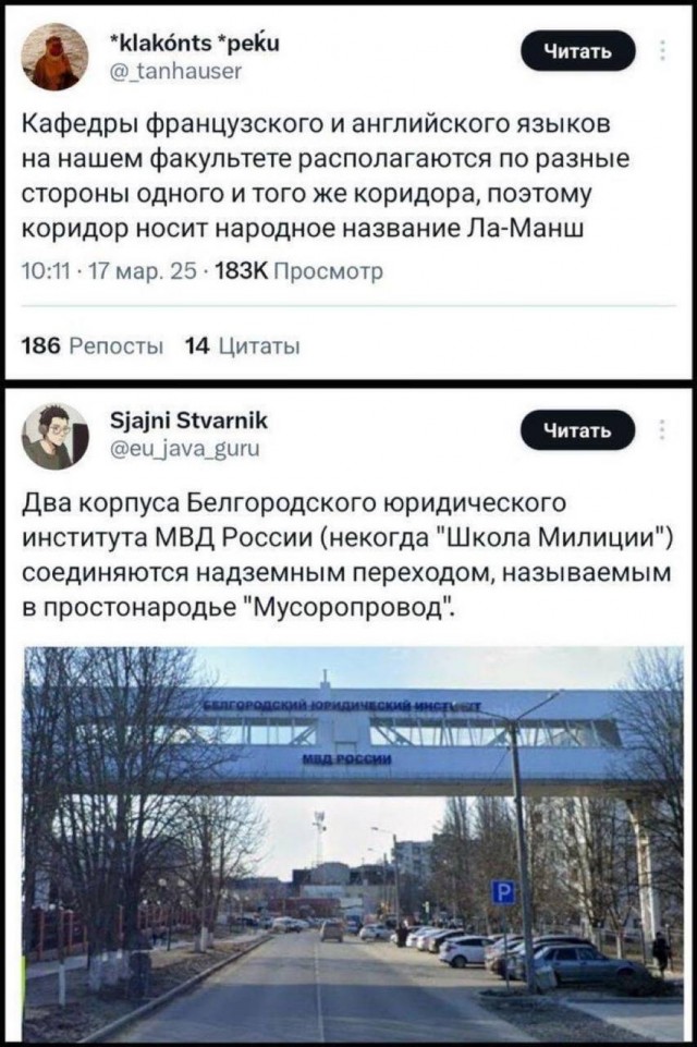 Нуштош 10.04.2025. Временное помутнение рассудка (s3e10)