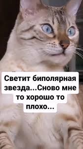 Биполярочка - она такая!