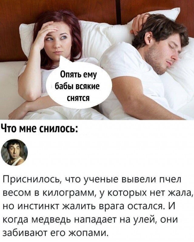 Веселые картинки в понедельник (19.05)