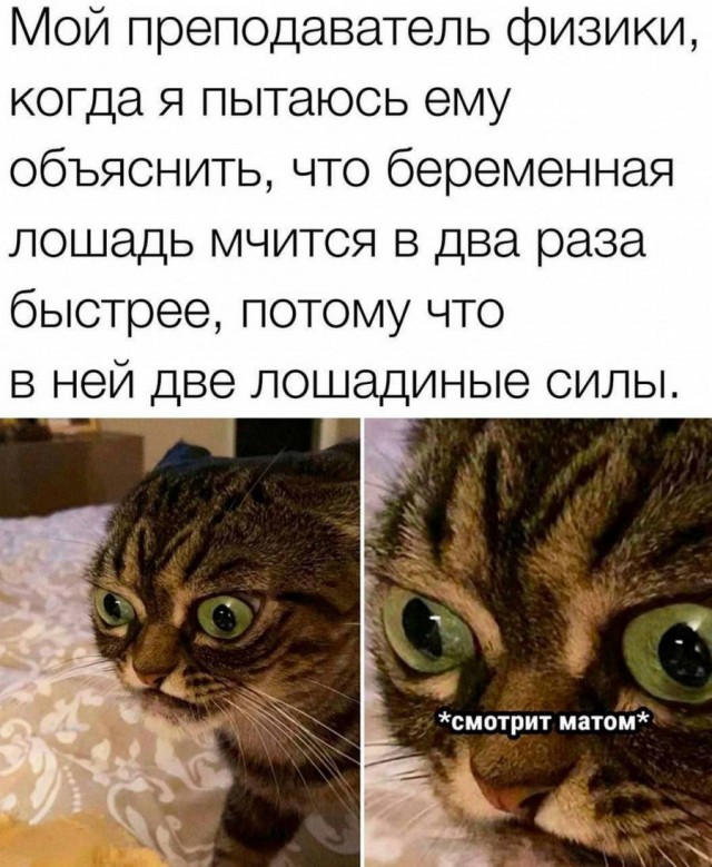 Веселое настроение в картинках 24.07.25