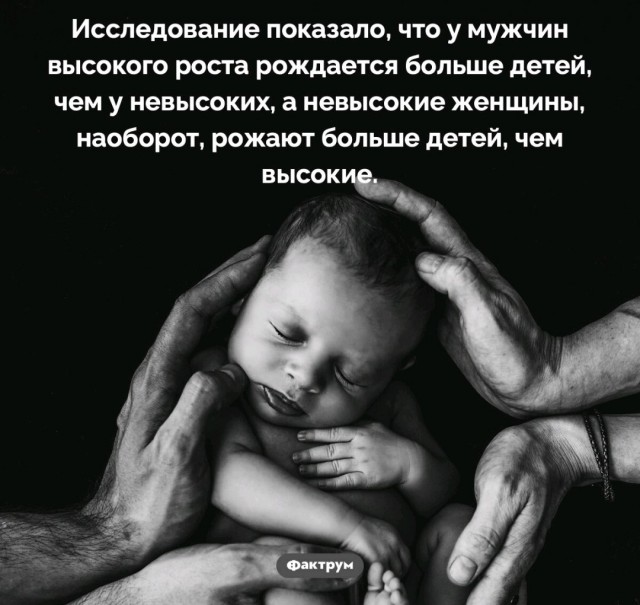 Природа, мать её