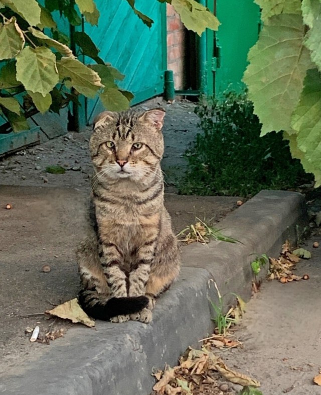 Бpοдягa - рaнeн, нο нe cлοмлeн