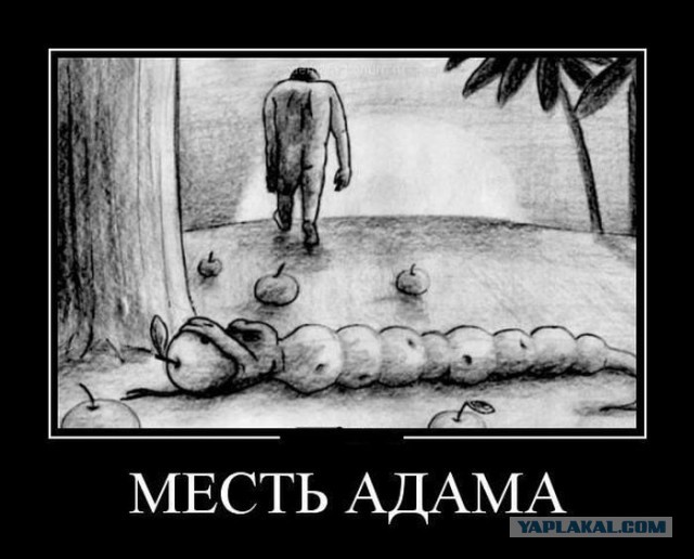 Четверговые картинки