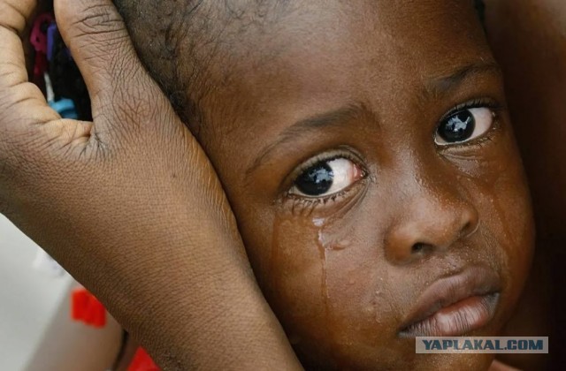 Решив построить во дворе бассейн, домовладелец нашёл золотой клад