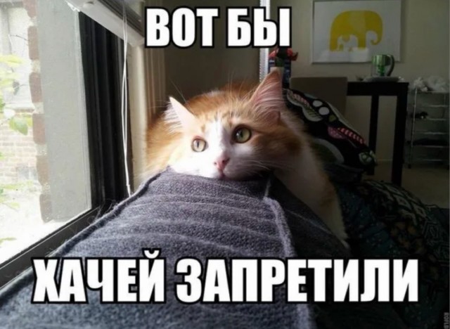 В Ярославле арестовали Лилит Мстоян, которая на протяжении длительного времени провоцировала местных жителей своими выходками