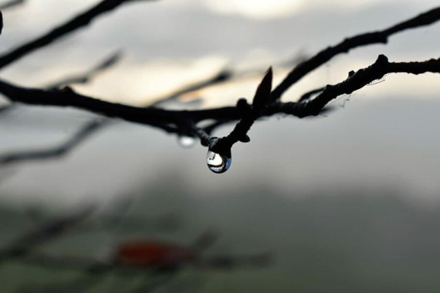 Воздушный поток с северной части Атлантики несет в Москву и Подмосковье потепление