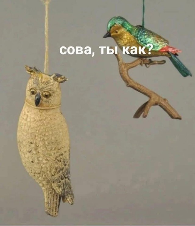 Совоапокалипсис