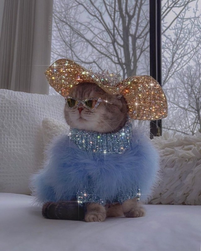 В Татьянин день всем москвичкам по имени Татьяна оплатят счёт до 10 тысяч рублей в ресторанах Александра Раппопорта