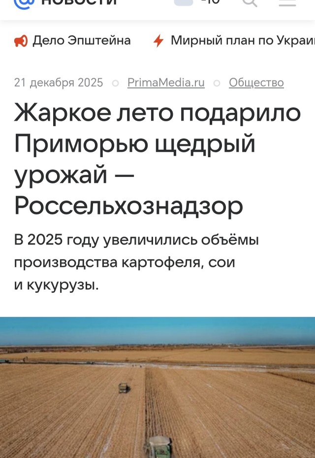 Потянуло к корням
