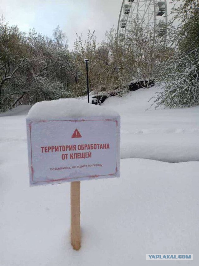 Москвичей предупредили о самом тяжелом лете