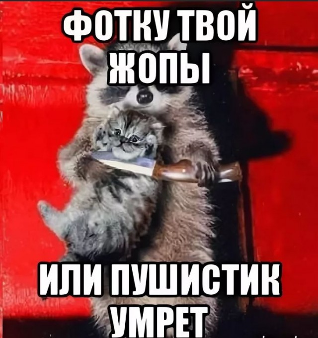 Всякой Хни вам в ленту, дорогие деграданты