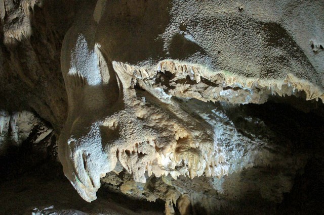 Абхазия (море), Армения (абрикосы)