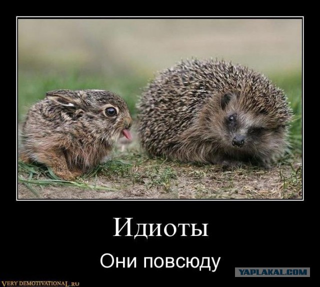 Смешные комментарии из социальных сетей (апрель)