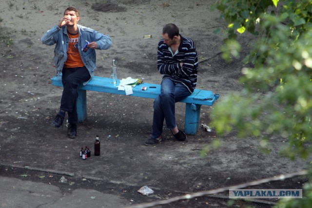 Лето, утро, жара и эти еще....