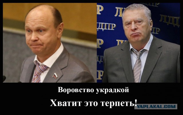 Депутата Госдумы от ЛДПР могут лишить