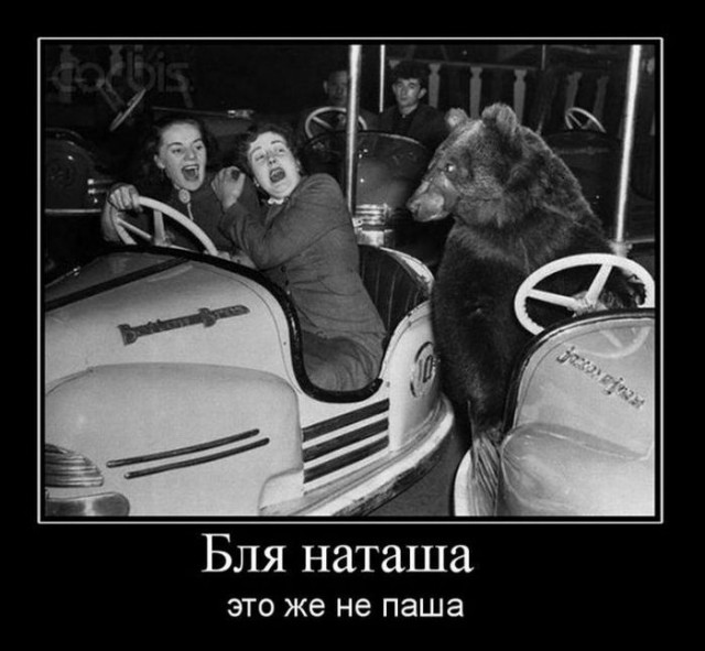 С миру по нитке. Демотиваторов чуть