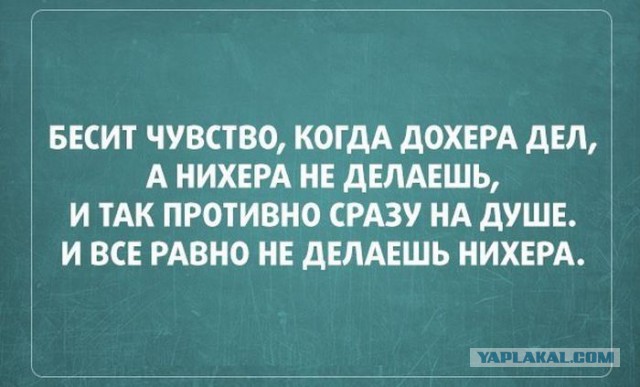Прикольная пятницо