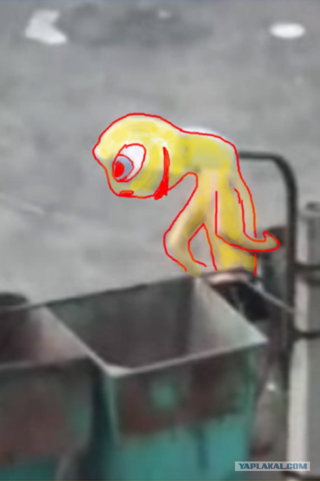 Воздействие бутирата