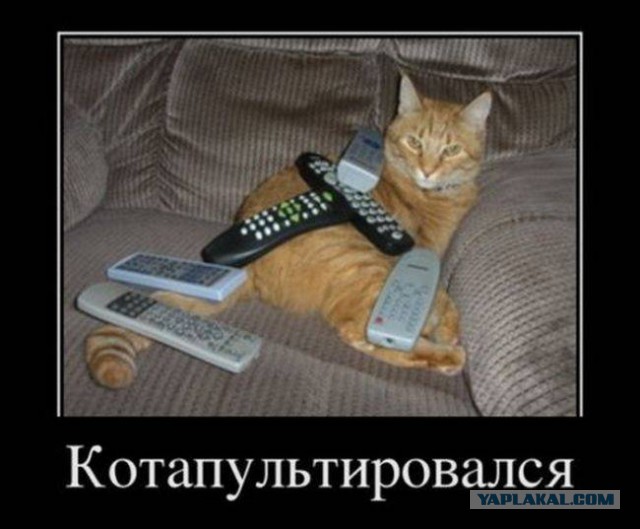Пятничная подборка