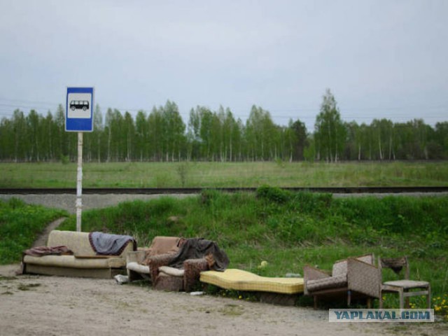 Подборка прикольных фото из сети