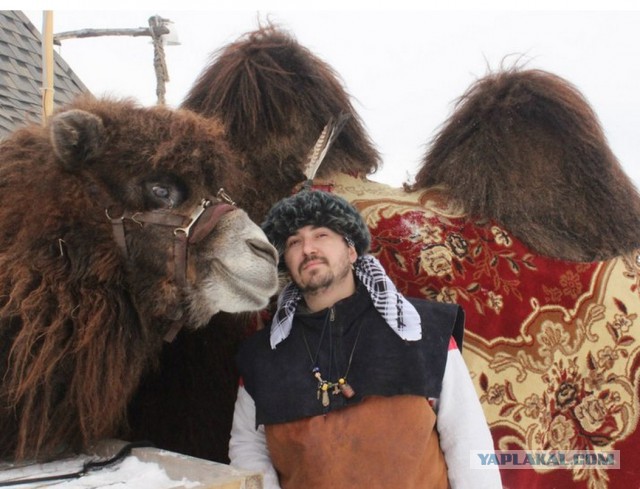 Кудыкина гора