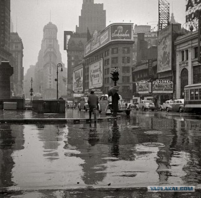 Подборка редких фотографий со всего мира