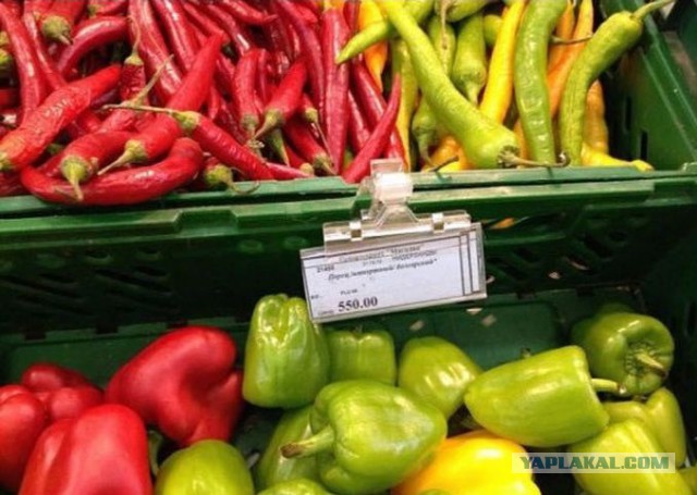 Импортозамещение: новые цены 2015 в Магадане