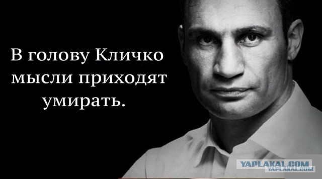 Кличко vs Галыгин, кто победил?
