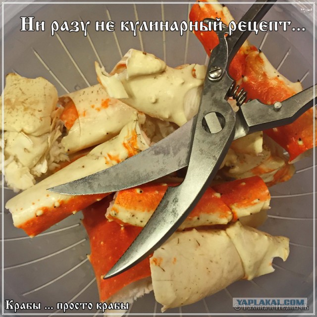 Крабы … просто крабы