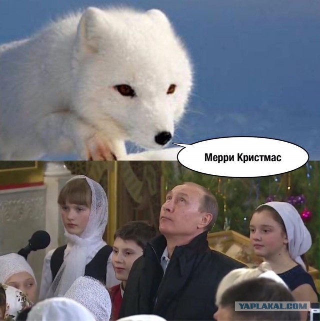 Цены на нефть упали ниже $34 за баррель