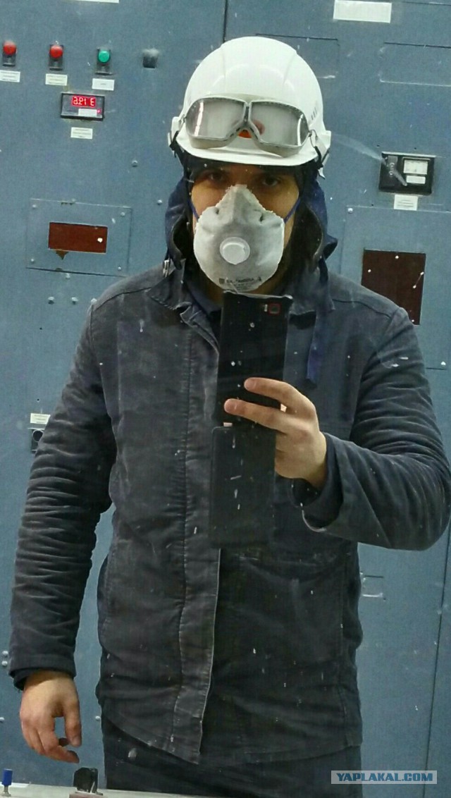 Трудовой народ в лицах