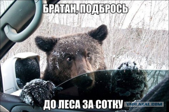 А вы знали, кто такой БРАТАН?