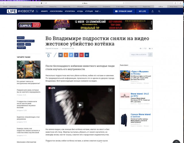 Во Владимире подростки сняли на видео жестокое убийство котёнка