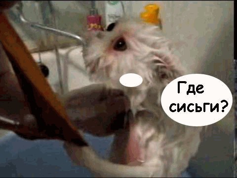 Мокрое чудовище требует сиськи!