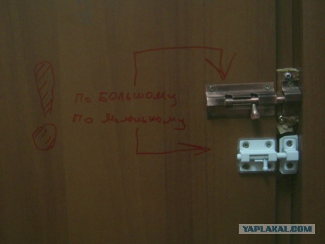 Весёлые картинки