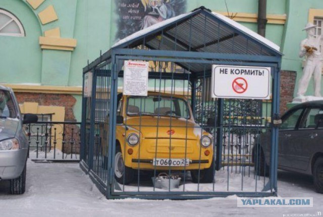 На каких машинах ездят ЯПовцы