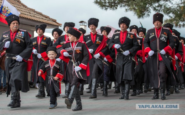 Петербургские казаки создадут "шурыгинские отряды" для работы с молодёжью