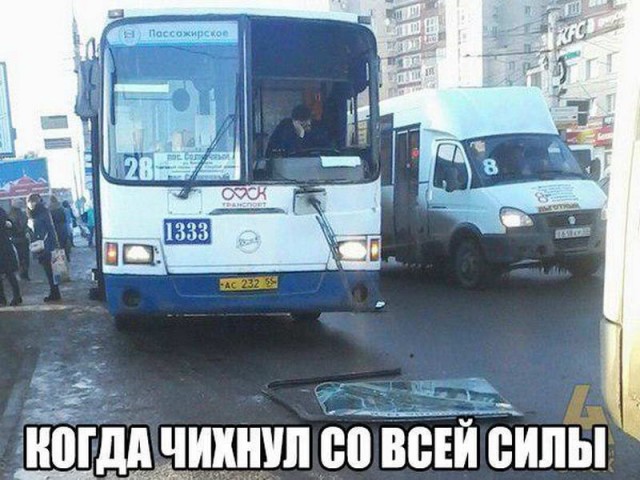 Перлы и высказывания