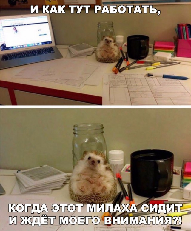 Всякая всячина