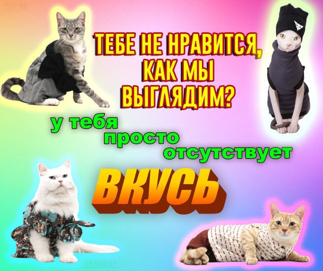 Дурацкие картинки