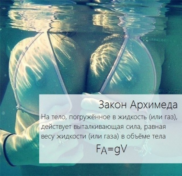 Наука - это весело!