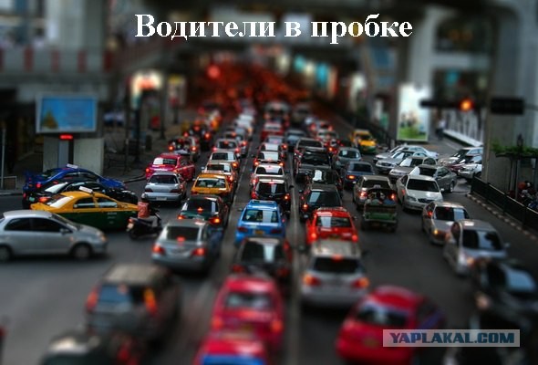 Водители в пробке